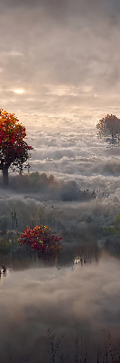 Store intérieur fenêtre avec motif d'arbres dans le brouillard