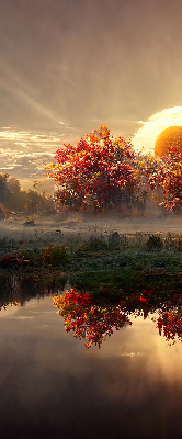 Store enrouleur coucher de soleil derrière les arbres