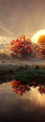 Store enrouleur coucher de soleil derrière les arbres