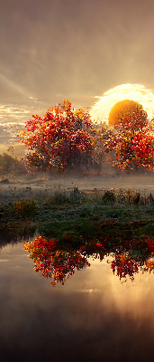 Store enrouleur coucher de soleil derrière les arbres