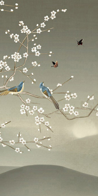 Store intérieur avec oiseaux sur une branche