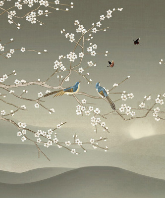 Store intérieur avec oiseaux sur une branche