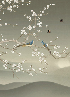 Store intérieur avec oiseaux sur une branche