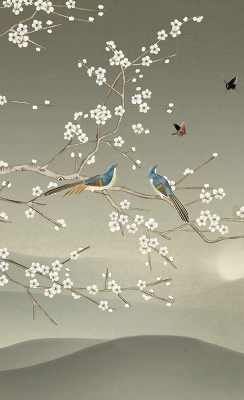 Store intérieur avec oiseaux sur une branche