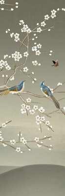 Store intérieur avec oiseaux sur une branche