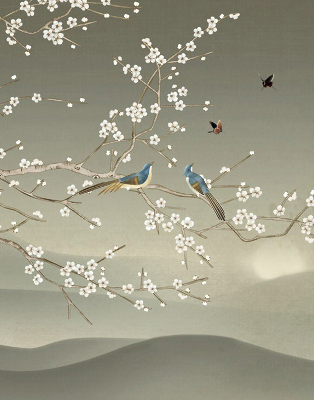 Store intérieur avec oiseaux sur une branche