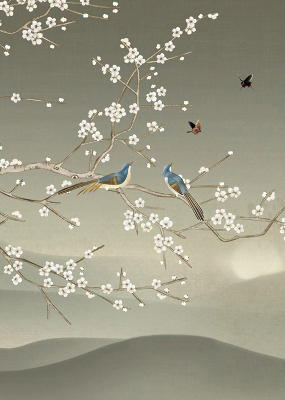 Store intérieur avec oiseaux sur une branche