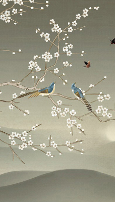 Store intérieur avec oiseaux sur une branche
