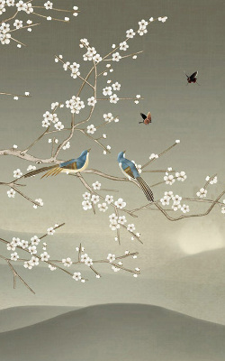 Store intérieur avec oiseaux sur une branche