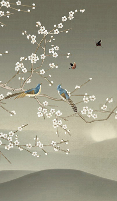 Store intérieur avec oiseaux sur une branche
