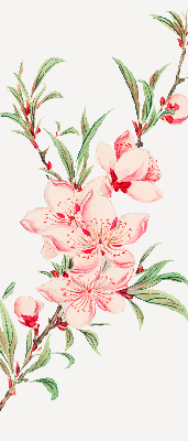 Store intérieur fleur rose