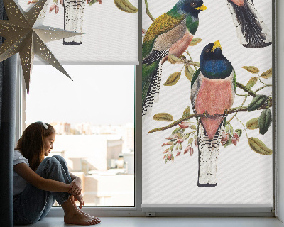 Store intérieur fenêtre avec motif d'oiseaux sur les branches