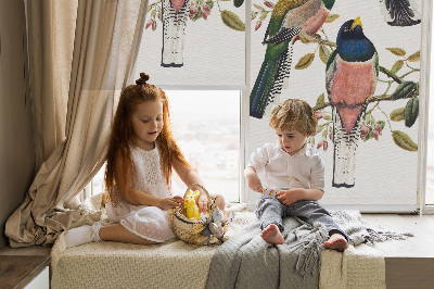 Store intérieur fenêtre avec motif d'oiseaux sur les branches