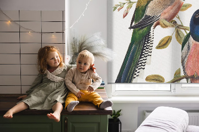 Store intérieur fenêtre avec motif d'oiseaux sur les branches