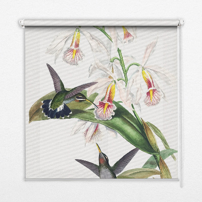 Store enrouleur avec motif d’oiseaux sur une fleur
