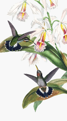 Store enrouleur avec motif d’oiseaux sur une fleur