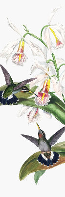 Store enrouleur avec motif d’oiseaux sur une fleur