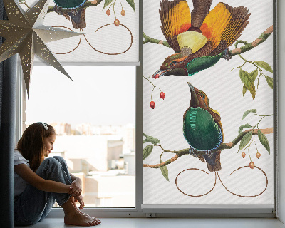 Store intérieur avec des oiseaux sur une branche