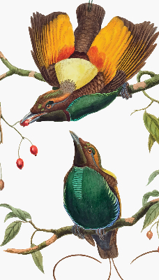 Store intérieur avec des oiseaux sur une branche