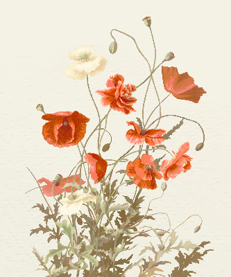 Store enrouleur coquelicots