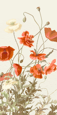 Store enrouleur coquelicots