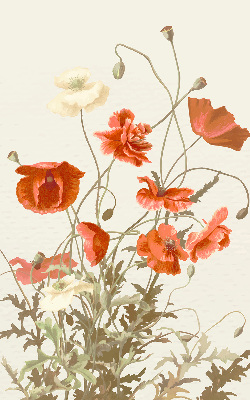 Store enrouleur coquelicots
