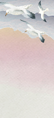 Store enrouleur pour oiseaux volants