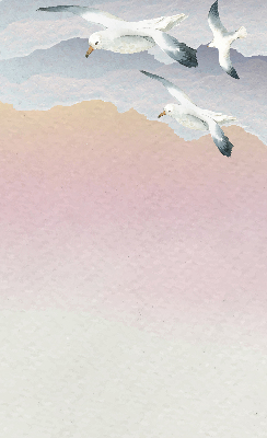 Store enrouleur pour oiseaux volants