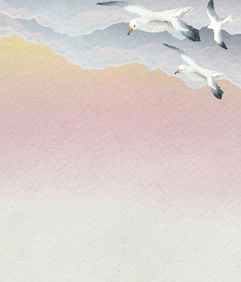 Store enrouleur pour oiseaux volants