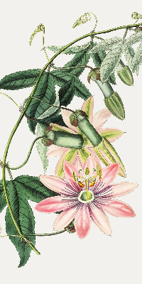 Store enrouleur à fleurs roses