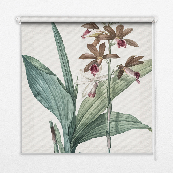 Store intérieur fenêtre fleur