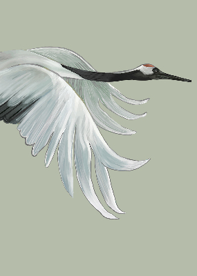 Store intérieur en vol