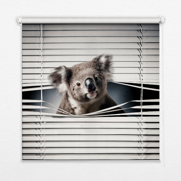 Store enrouleur koala