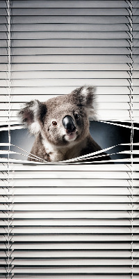 Store enrouleur koala