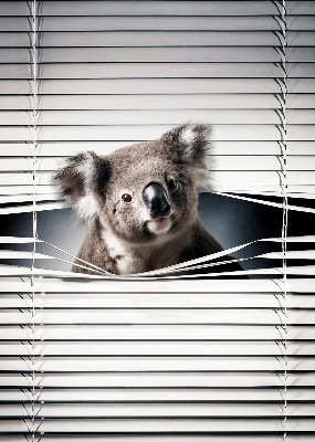 Store enrouleur koala