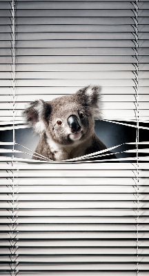 Store enrouleur koala