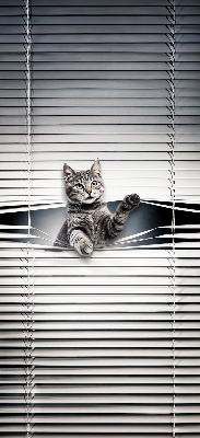Chat d’intérieur