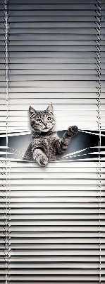 Chat d’intérieur
