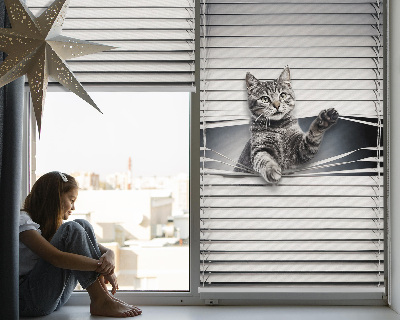 Chat d’intérieur