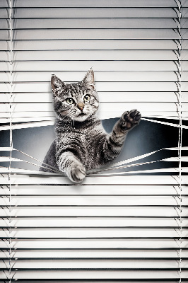 Chat d’intérieur