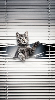 Chat d’intérieur