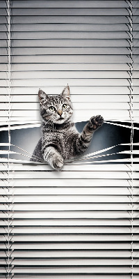 Chat d’intérieur
