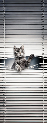 Chat d’intérieur