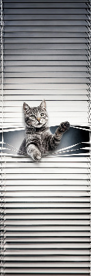 Chat d’intérieur