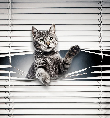 Chat d’intérieur