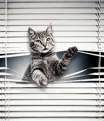 Chat d’intérieur