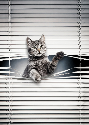 Chat d’intérieur
