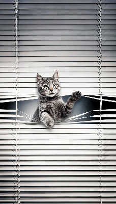 Chat d’intérieur