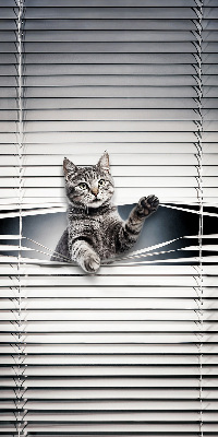 Chat d’intérieur