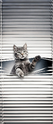 Chat d’intérieur